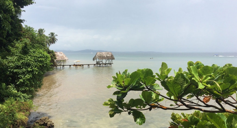 A dock with a thatched roof stretches out over calm waters. There are green trees in the foreground. 